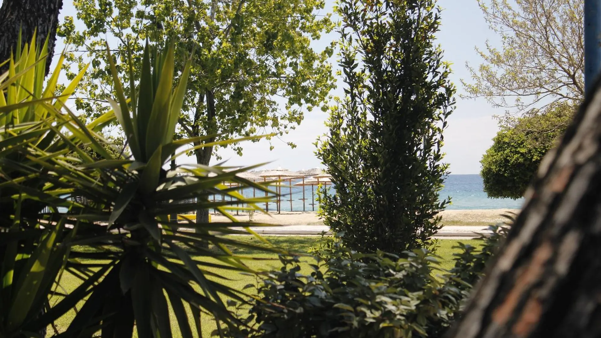 Studio To Rent In Front The Lovely Sea Fully Equipped Νέα Πλάγια Ελλάδα