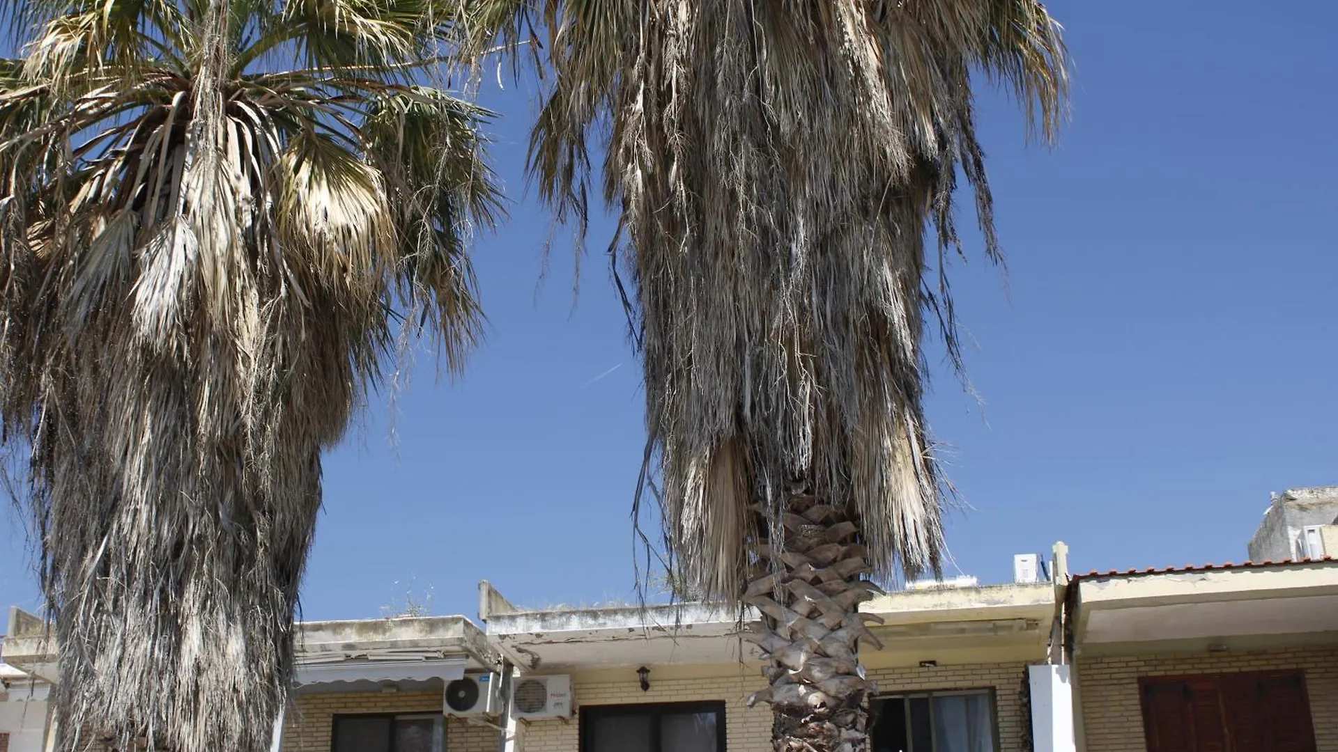 Πανσιόν Studio To Rent In Front The Lovely Sea Fully Equipped Νέα Πλάγια